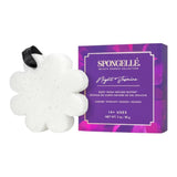 Spongelle Boxed White Flower Night Jasmine White 1pc