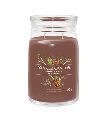Yankee Candle Praline & Birch signature large candle 567 g